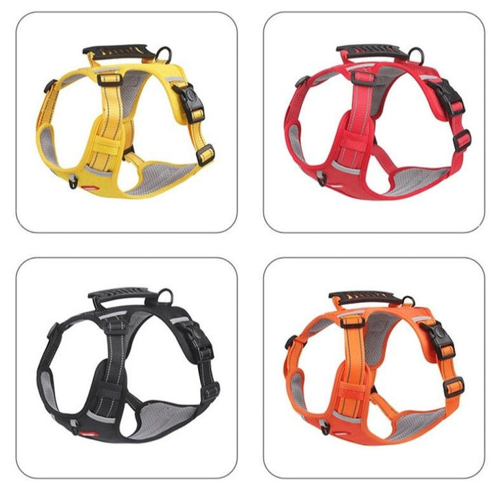 DogGrip Walk Safely with Your Dog | Kalsten