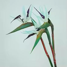 Kalsten | Floriva 3 Piece Set Artificial Strelitzias | Bird of Paradise Flowers | 24.5 cm Long Stems | Decoration for Home, Office & Events