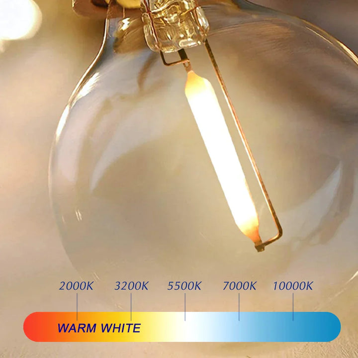 G40 Globe LED Bulbs – 5V, 110V/220V, Indoor/Outdoor