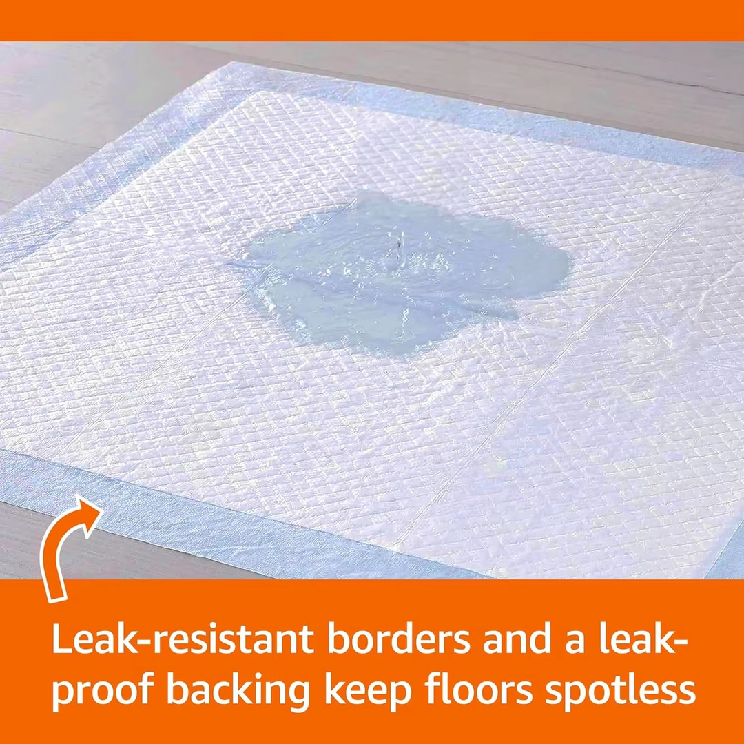 Kalsten | 30-Pack Super Absorbent Disposable Urine Pads for Pets and Elderly Care, 13 x 18 Inches