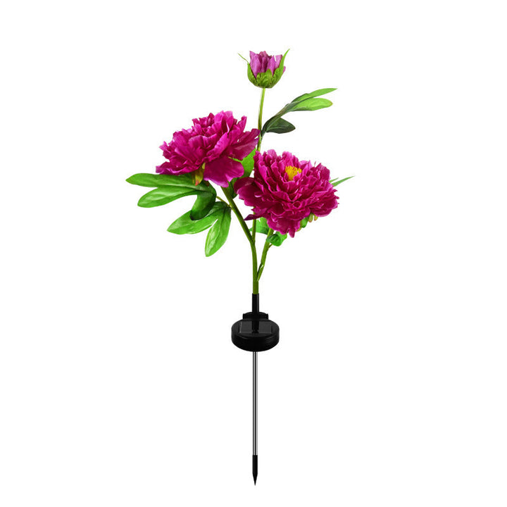 Contemporary Creative Solar Peony Flower LED Waterproof Lawn Landscape Insert Light For Outdoor Patio | Kalsten