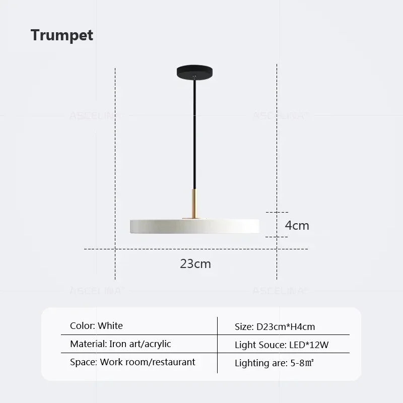 Modern LED Pendant Light – 23/30cm Disc Hanging Lamp for Bedroom, Living Room, Office, and Aisle – Dimmable LED Ceiling Light | Kalsten