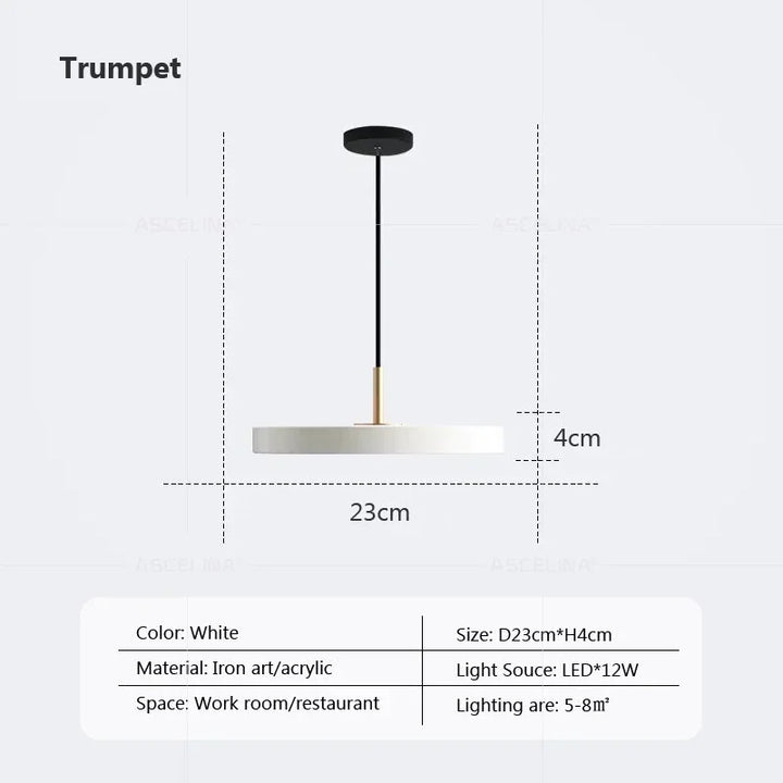 Modern LED Pendant Light – 23/30cm Disc Hanging Lamp for Bedroom, Living Room, Office, and Aisle – Dimmable LED Ceiling Light | Kalsten