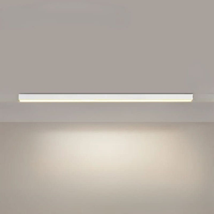 Ceiling Light Aluminum LED 24 in Modern Indoor Living Room Kitchen Hallway Illumination Fixture | Kalsten