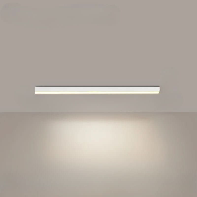 Ceiling Light Aluminum LED 24 in Modern Indoor Living Room Kitchen Hallway Illumination Fixture | Kalsten