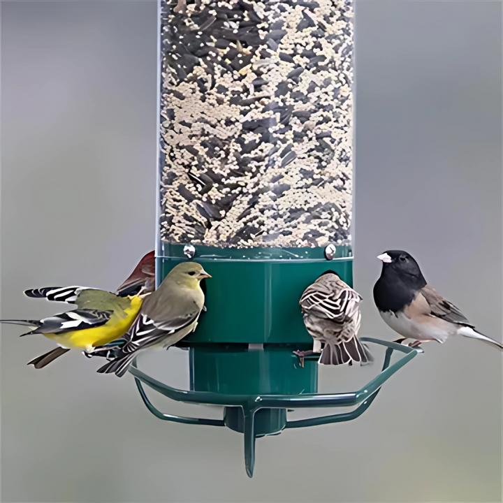 Squirrel-Proof Outdoor Hanging Bird Feeder Kalsten