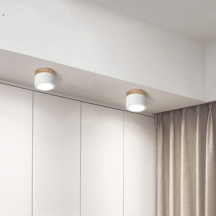 Modern Cylinder LED Flush Mount Ceiling Lamp Kalsten