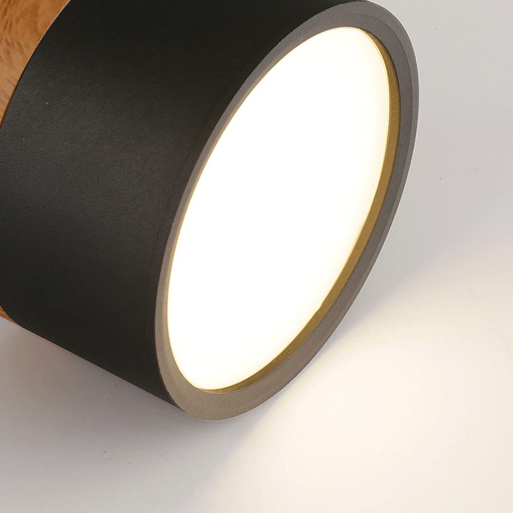 Modern Cylinder LED Flush Mount Ceiling Lamp Kalsten