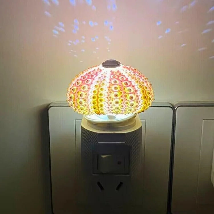 Kalsten | LumiCraft – Unique DIY table lamp with natural sea shell for a cozy décor