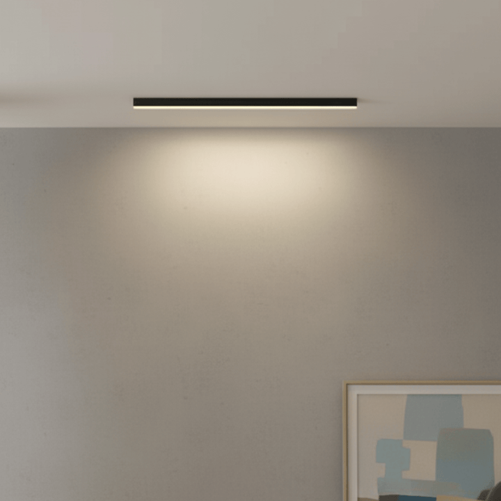 Ceiling Light Aluminum LED 24 in Modern Indoor Living Room Kitchen Hallway Illumination Fixture | Kalsten