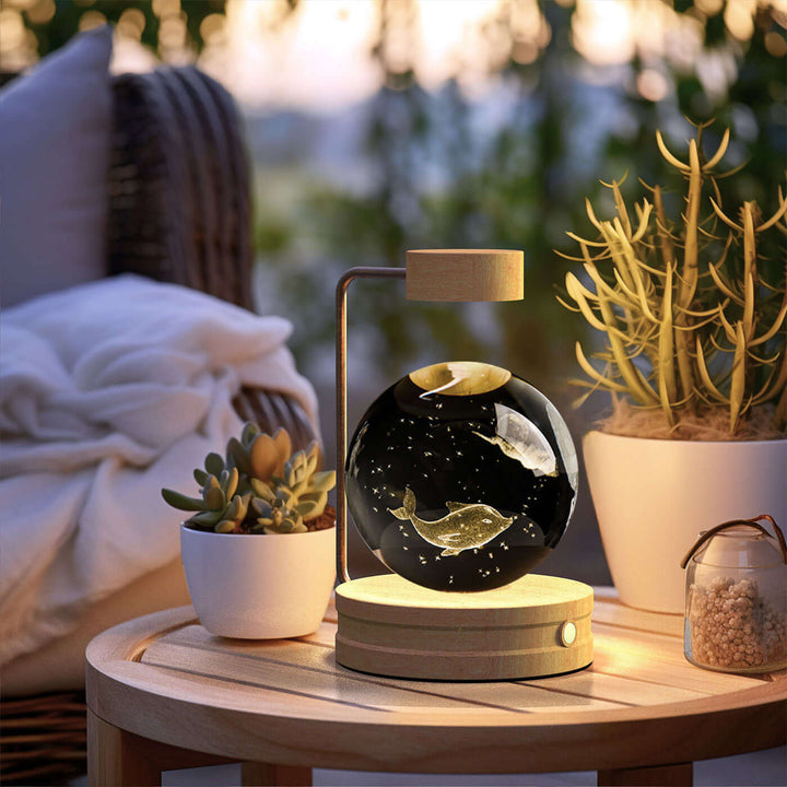 Crystal Ball Cosmic Dinosaur Indoor Night Light USB Power Warm Bedside Light Birthday Gift Night Lamp | Kalsten