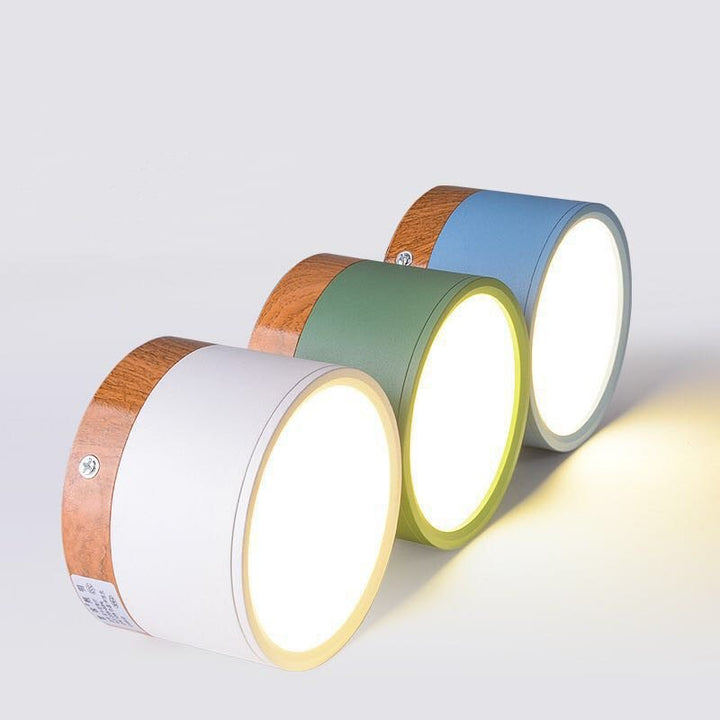 Morandi Style Modern LED Ceiling Lamp - LumiModo | Kalsten