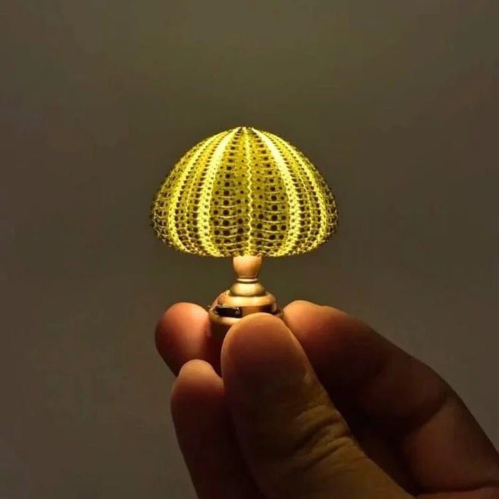 Kalsten | LumiCraft – Unique DIY table lamp with natural sea shell for a cozy décor