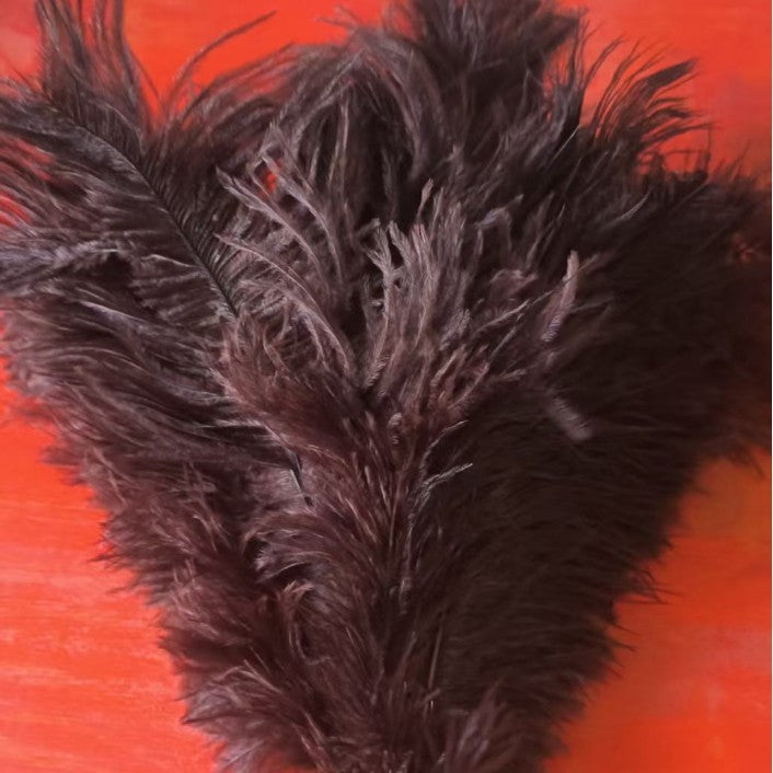 Feather duster made of ostrich feathers, extensible