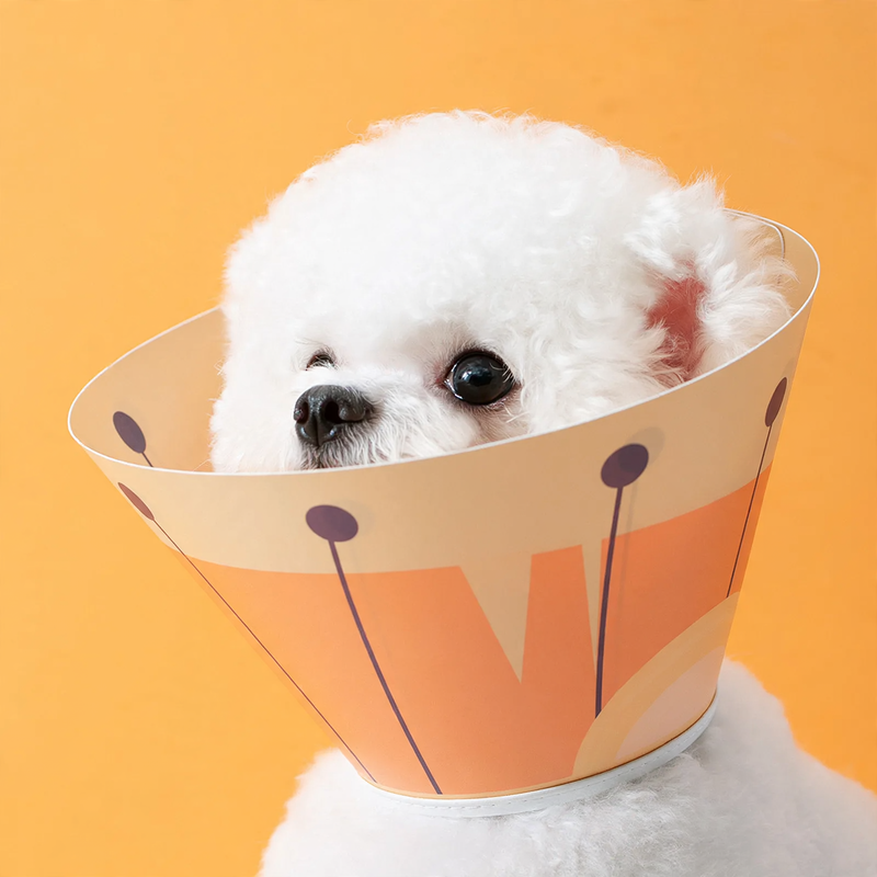 Protective collar for dogs and cats, waterproof