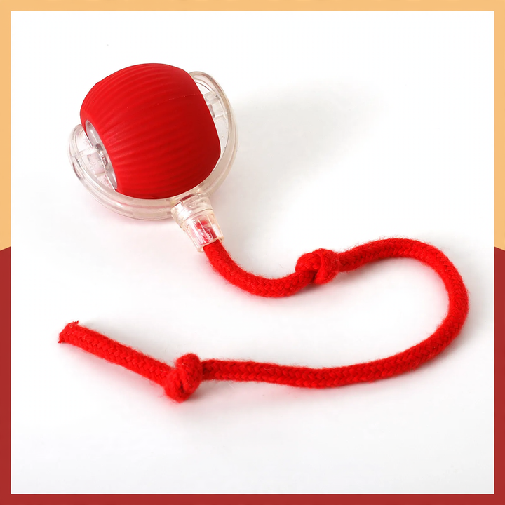 Interactive cat toy with tail