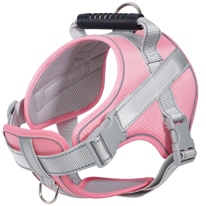 Dog harness made of polyester with leash, multiple sizes