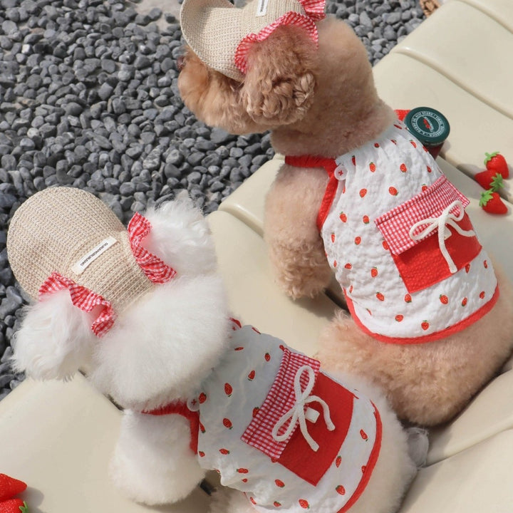 Dog strap dress with hat, summer, 2-piece