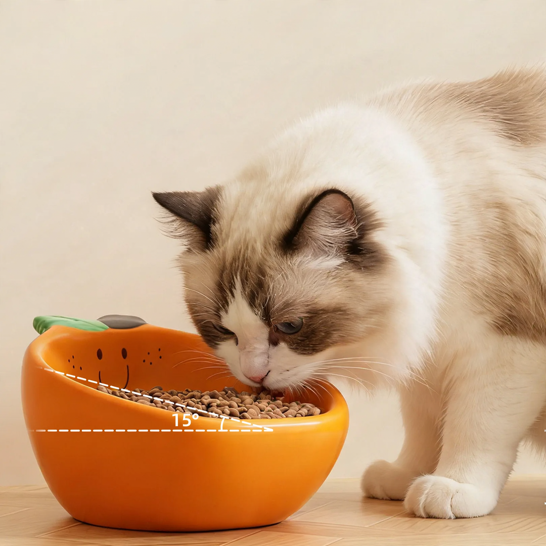 Ceramic bowl with fruit design for pets