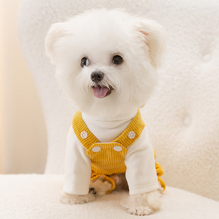 Dog overall with bib pants made of corduroy