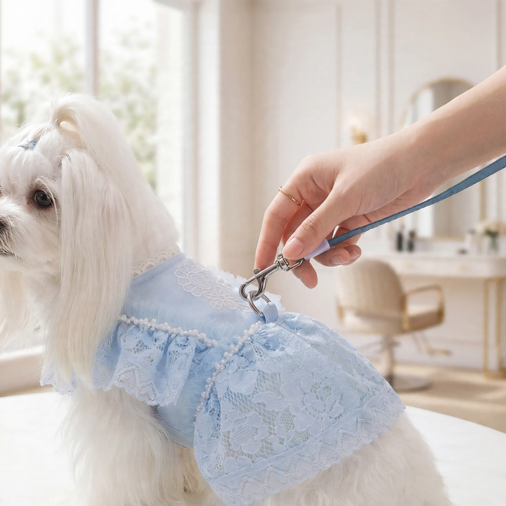Princess dress for small dogs, summer