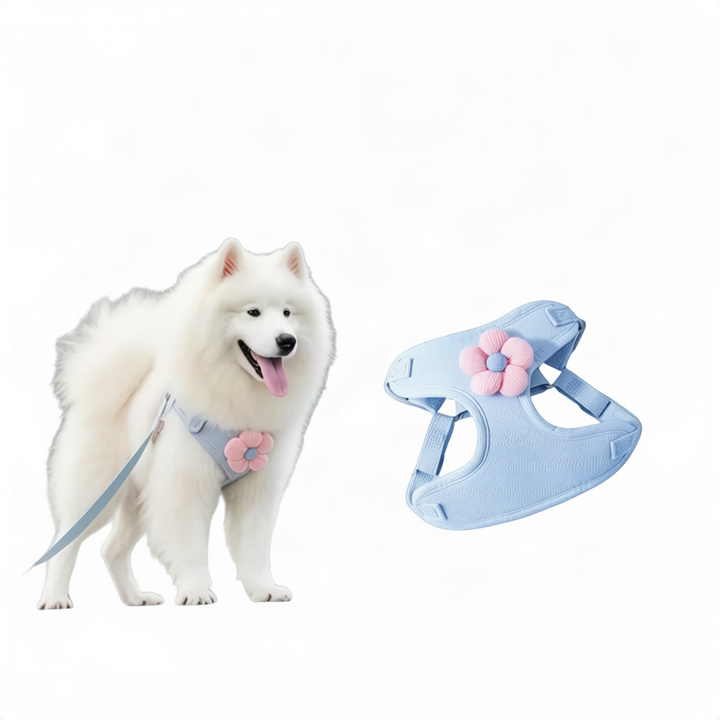 Dog harness made of fabric with leash, XS to XL