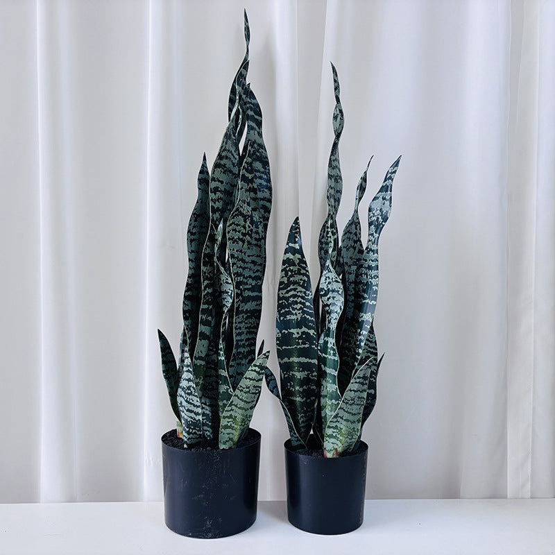 Artificial plant Sansevieria, 50 cm, PE