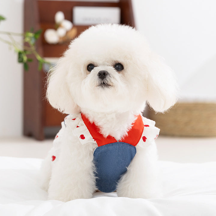 Dog dress with leash, polyester, summer