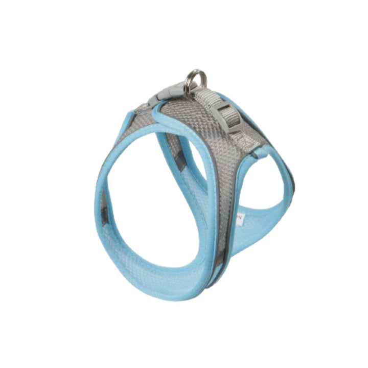 Dog harness made of fabric with leash, XS to XL