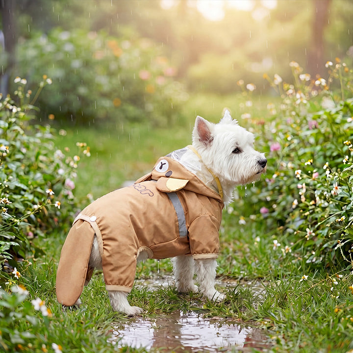 Dog rain jacket with bear motif, four-legged