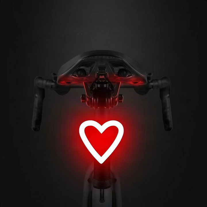 LED bicycle light with USB charging