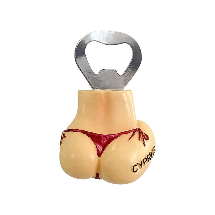 Multifunctional bottle opener with magnet