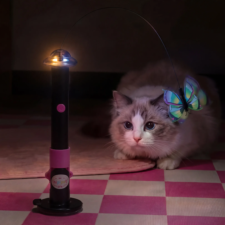 Electric cat toy with rotating butterfly, rechargeable