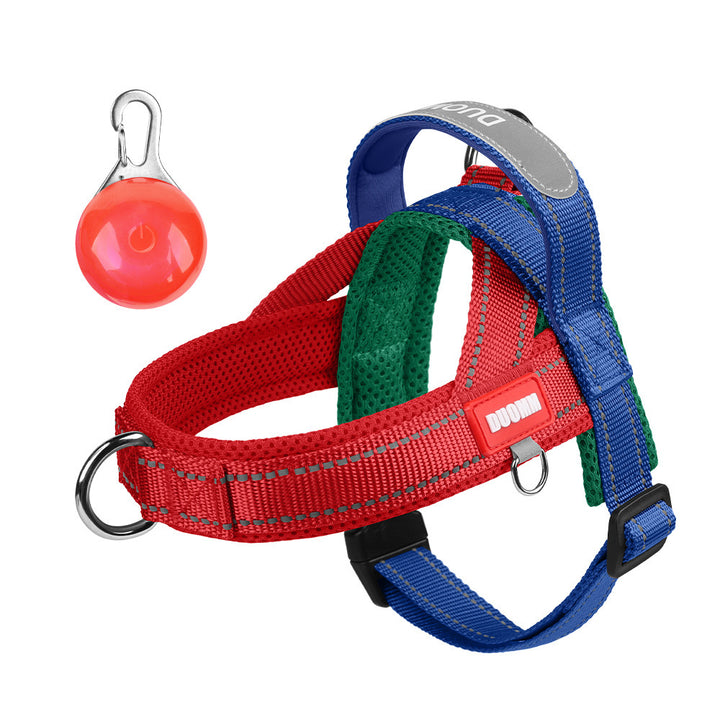 Padded dog harness with leash