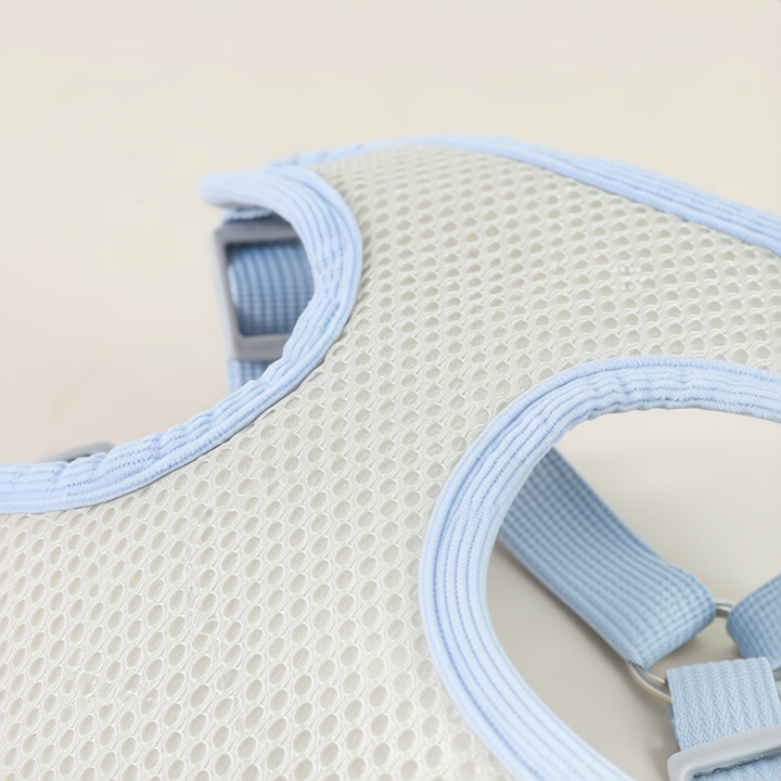 Dog harness made of fabric with leash, XS to XL