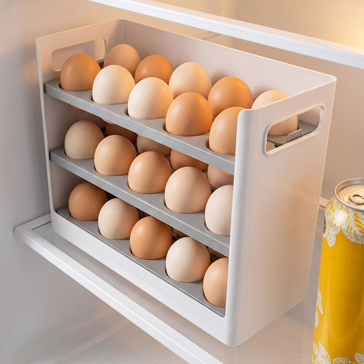 Egg storage box for the refrigerator