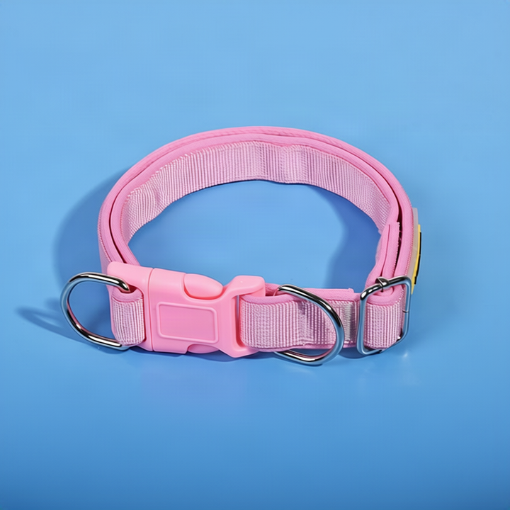 Dog collar made of polypropylene