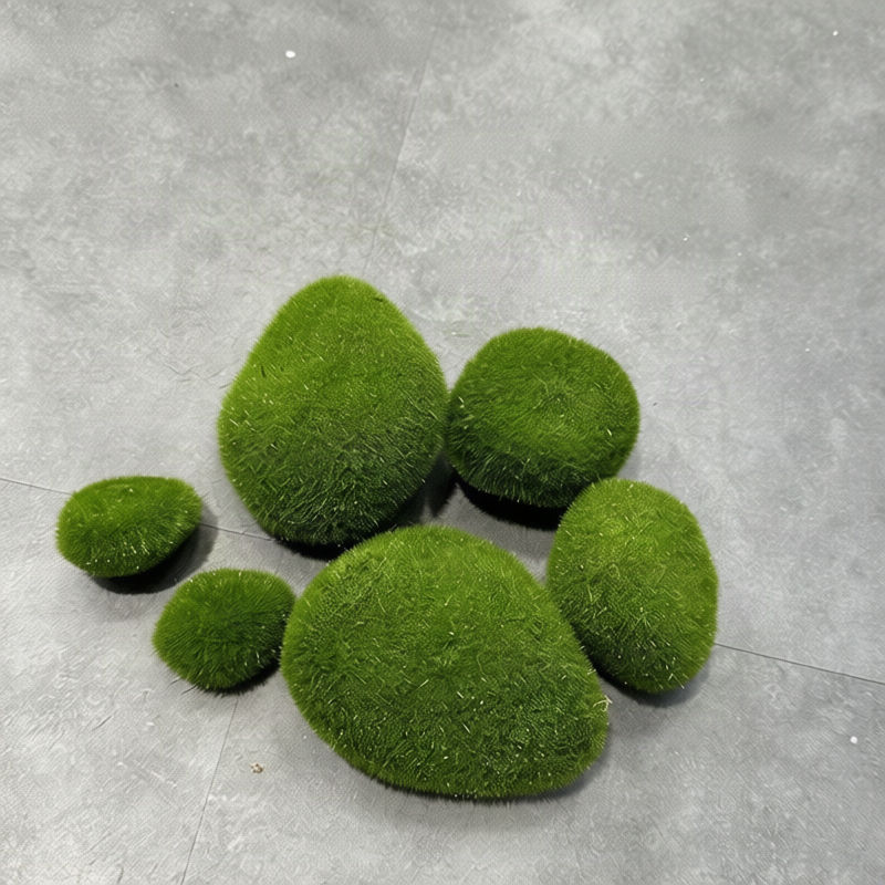 Javamoos Portion, dried