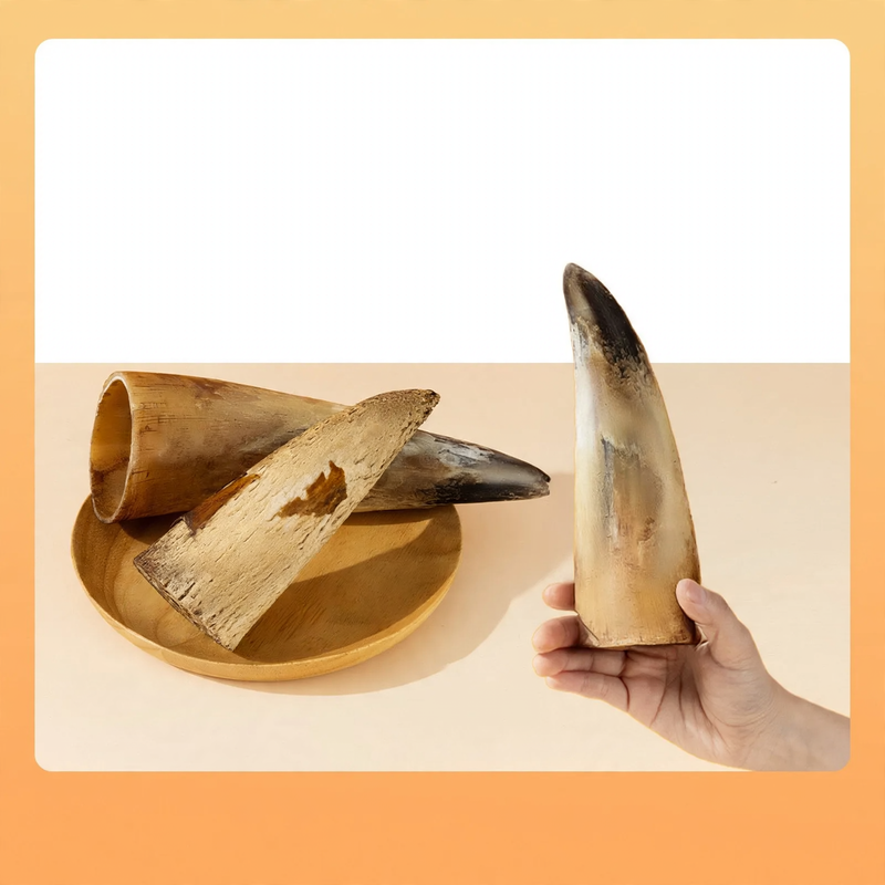 Kaustab with meat and beef bones for dogs