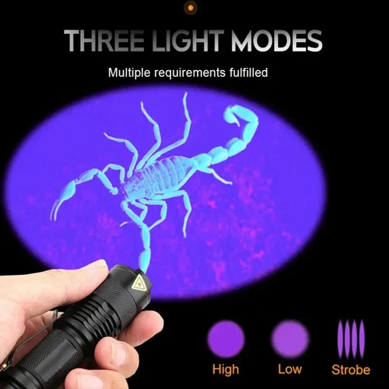 Kalsten | LED UV Flashlight - Ultraviolet Inspection Lamp for Pet Urine and Stain Detection