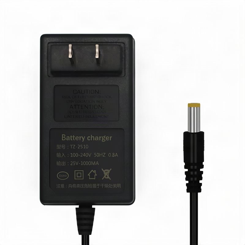 Lithium battery charger, 21 V