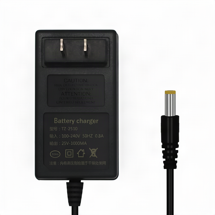Lithium battery charger, 21 V