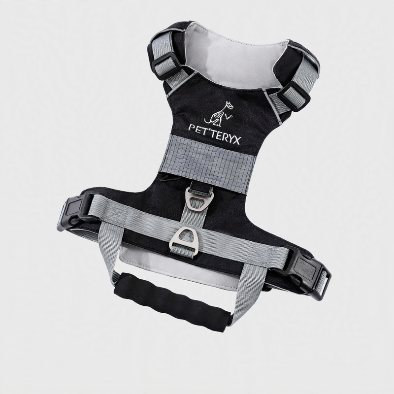 Dog harness with double ring, breathable, various sizes