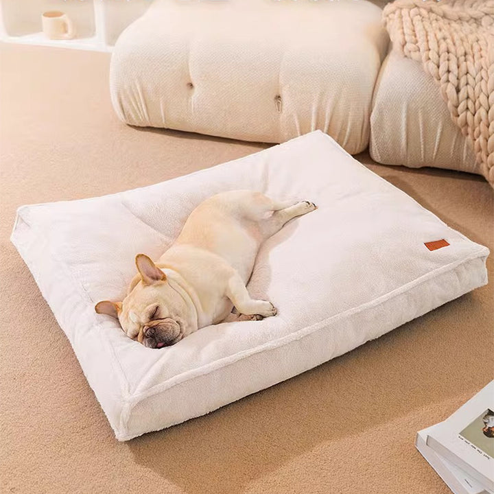 Pet cuddly bed with removable cover