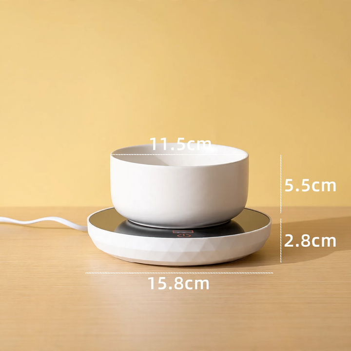 Heated ceramic bowl for cats and dogs