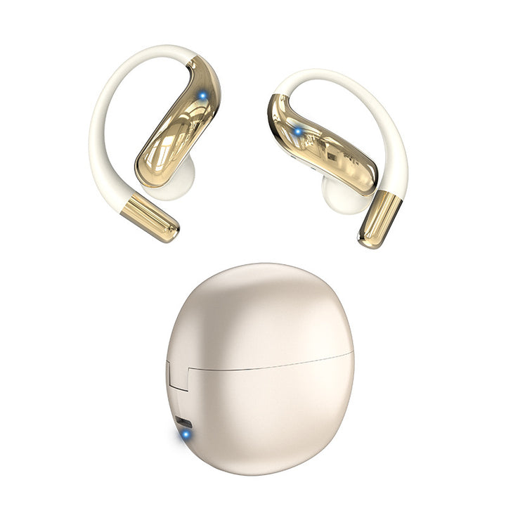 Wireless earbuds for hanging with AI translation