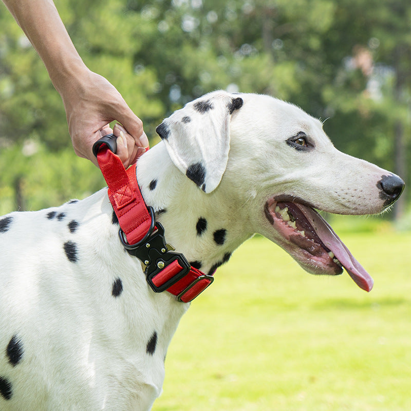 Tactical dog collar with handle