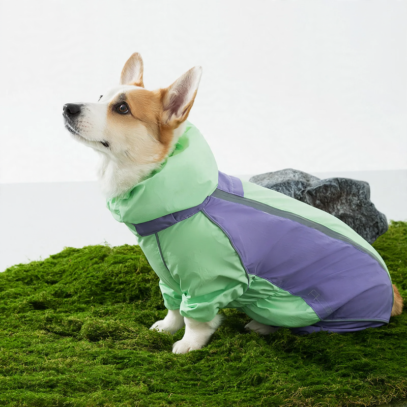 Raincoat for dogs, four-legged, waterproof