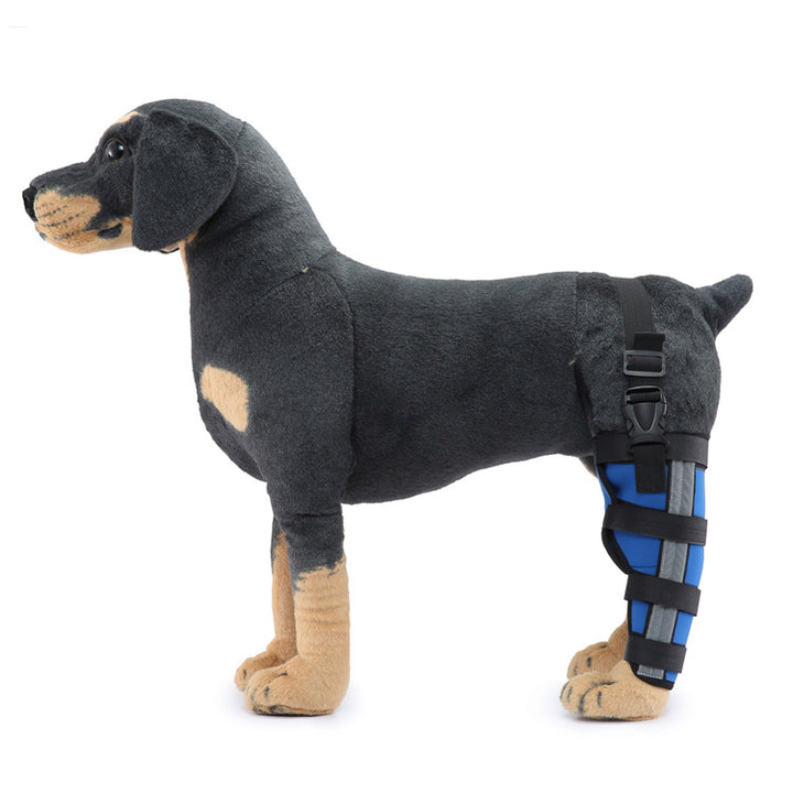 Hind leg support sleeve for dogs, year-round