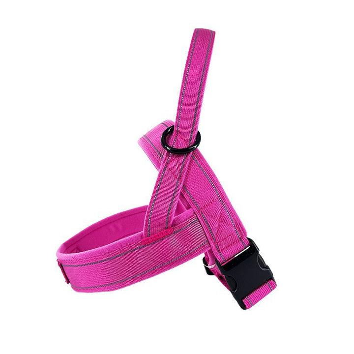Cat harness padded, adjustable